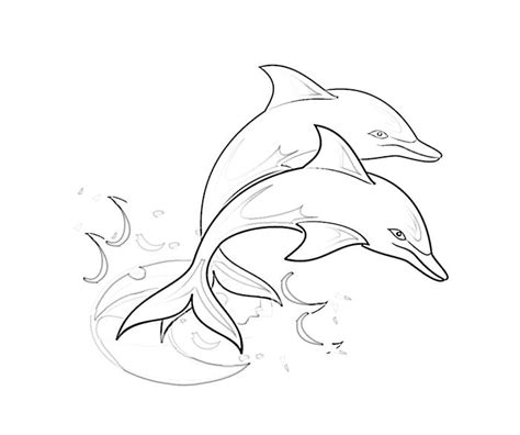 Dolphin Template Animal Templates Free And Premium Templates