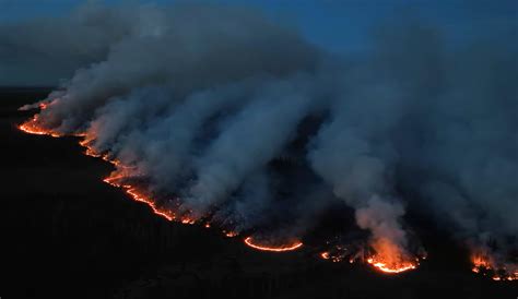 Bc Wildfire Fort St John Issues Evacuation Alert Citynews Vancouver