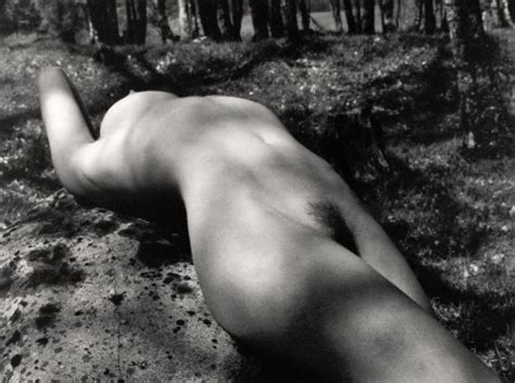 Thumbs Pro Billyjane Nude In Wood Series No By John Swannell