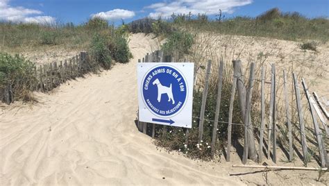 Décrypter 37 imagen carte des plages autorisées aux chiens fr