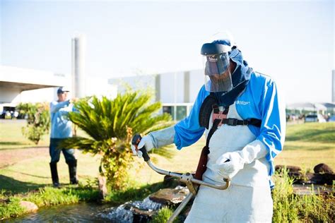 Facilities Jardinagem Zeladoria Balmax Gest O Em Servi Os