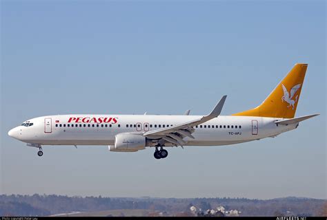 Pegasus Airlines Boeing Ng Max Tc Apj Fhoto Airfleets