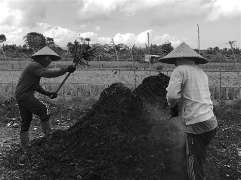 urban compost  punch community