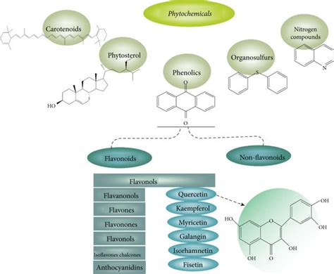 Classified Phytochemicals With Anticancer Potential And Their Chemical