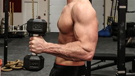 Tip The Hybrid Hammer Curl