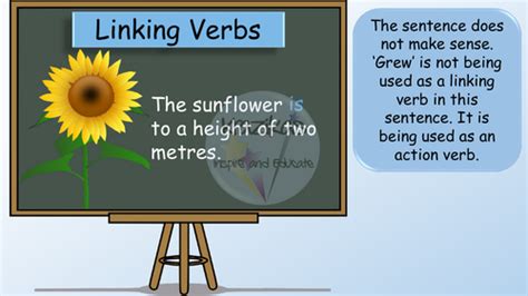 Linking Verbs | Teaching Resources