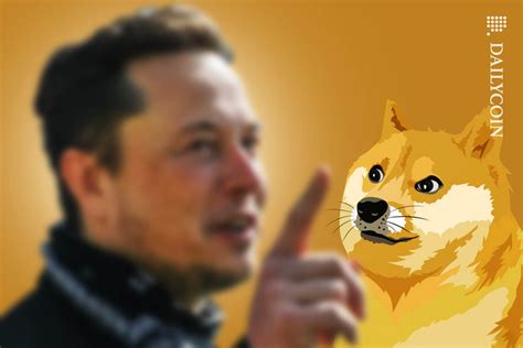 Elon Musk Warns Dogecoin Fans: “Don’t Bet the Farm on DOGE” - DailyCoin