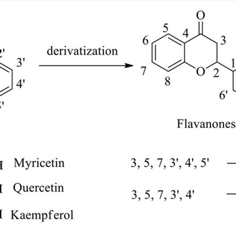 | Molecular structures of flavones, flavanones, and their derivatives. | Download Scientific Diagram