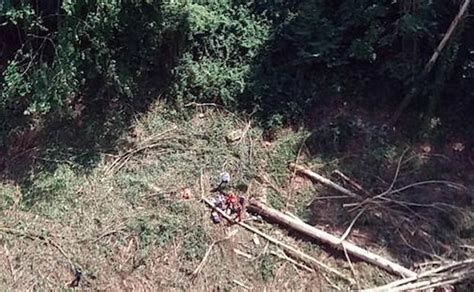 Un Trabajador Resulta Herido Al Caerle Encima Un árbol En Salas El Comercio Diario De Asturias