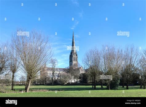 Salisbury Cathedral Salisbury Wiltshire England Uk Stock Photo Alamy