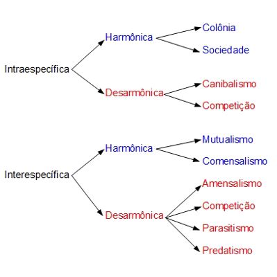 Ci Ncias Para Curiosos Rela Es Ecol Gicas