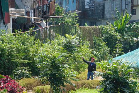 Baguio Moves To Avert Urban Decay With Stricter Permits Businessworld