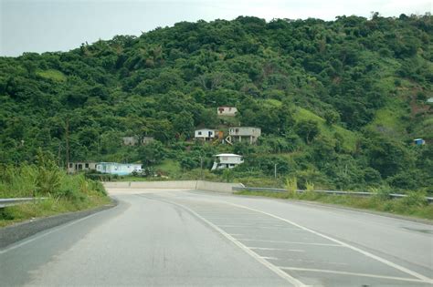 British Man 33 Shot Dead In Jamaica ‘in Possible Contract Killing