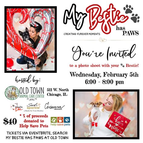 old town animal care center 1