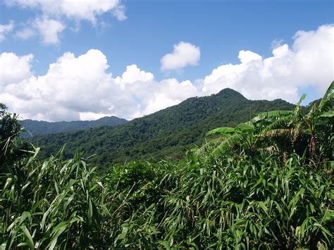 cloud forest carbon balanced paper