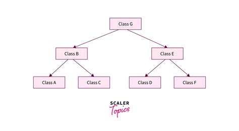 How To Define Inheritance In Java Scaler Topics