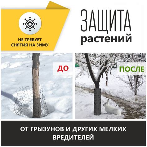 Защита для стволов деревьев от повреждения триммером - фото