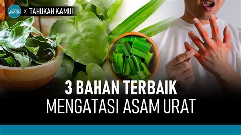 Cegah Asam Urat Dengan Bahan Natural Hidup Sehat Tvone Youtube