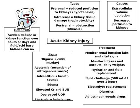 aki  ckd concept maps types prerenal reduced perfusion