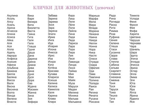 Красивые славянские имена для мальчиков: список красивых имен для ...