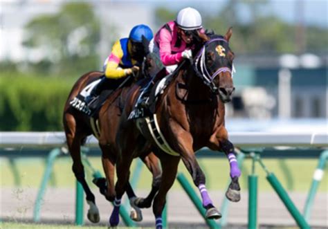 Jra共同通信杯「エフフォーリアの勝利はわかっていた」伝説の一戦を見抜いた競馬界のレジェンドが推奨するクラシック候補 Gj