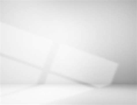 35500 Art Gallery Light Stock Photos Pictures And Royalty Free Images