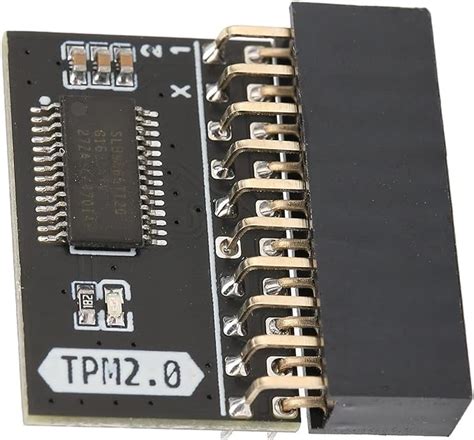 Amazon Co Jp Tpm P Tpm Lpc