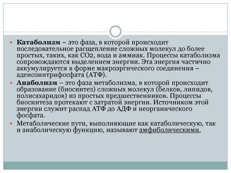 Метаболизм, анаболизм, катаболизм. Метаболические пути, их организация ...