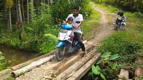 Begini Kondisi Jembatan Darurat Alue Lason Bireuen Warga Minta