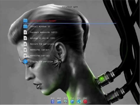 E2B #4: UEFI-multiboot using the a1ive grub2 File Manager v1.23 - Payhip