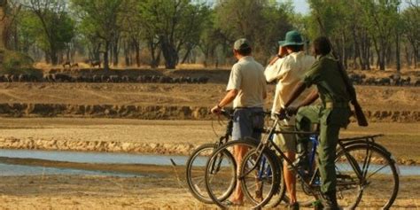 67 Zambia Safari Tours (Offered by 19 Tour Operators)