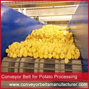 Conveyor Belt For Potato Processing Omtech Food Engineering Rajkot