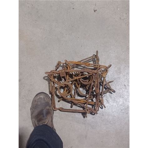 conibear  beaver traps