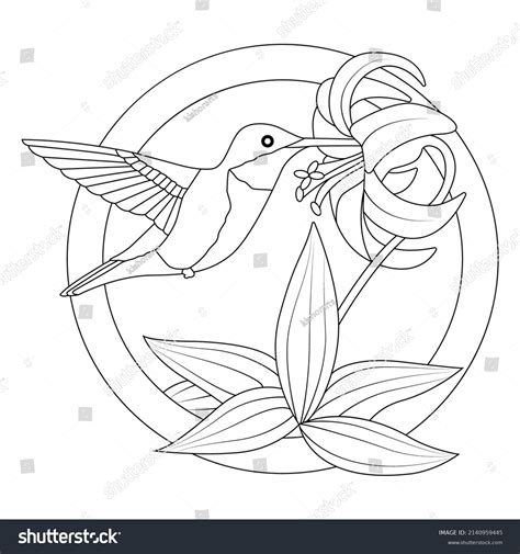 Hummingbird Flower Coloring Pages