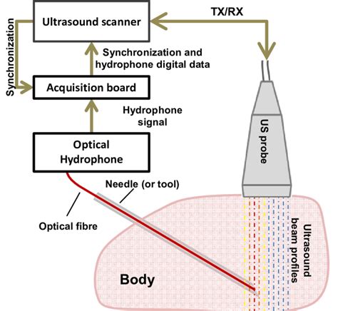 Principle Of B Mode Udt Collection A Line Signal Generated By The