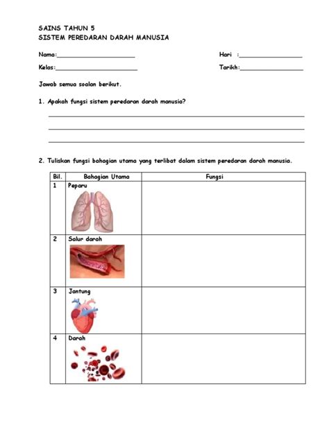 Sains Tahun 5 Latihan Sistem Peredaran Darah Pdf