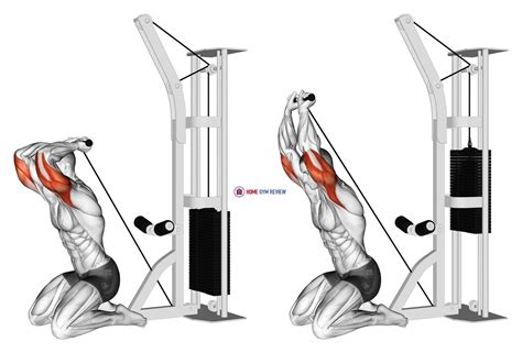 Cable Kneeling Triceps Extension Version 2 Home Gym Review