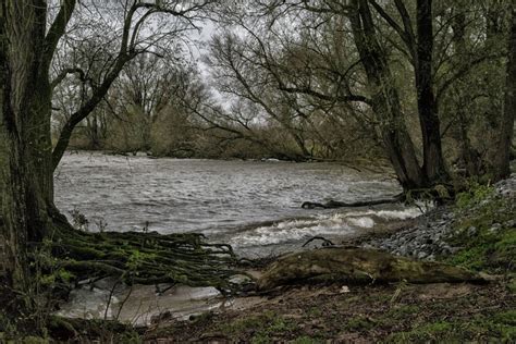 Kostenlose Foto Landschaft Baum Wasser Natur Wald Draussen Rock