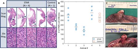 Autonomous Robotic Laparoscopic Surgery For Intestinal Anastomosis