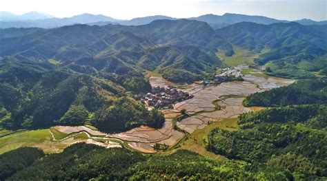 China to implement ‘forest chief’ scheme nationwide to protect forest ...