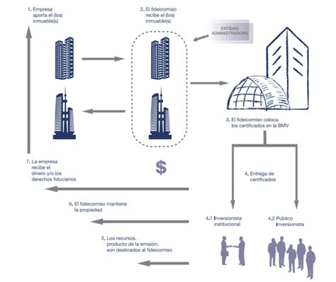 ¿cómo Funcionan Las Fibras Los Fideicomisos Reúnen El Dinero De Varios