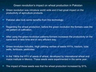 Wheat production in pakistan presentation | PPT