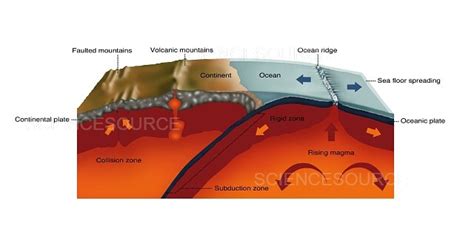 San Andreas Fault, Diagram | Stock Image - Science Source Images