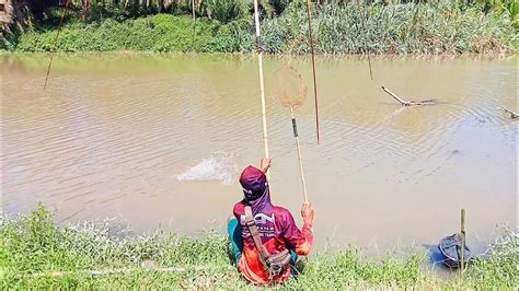 Rezeki Nomplok Bisa Ngangkat Banyak Ikan Monter Di Sungai Ini YouTube