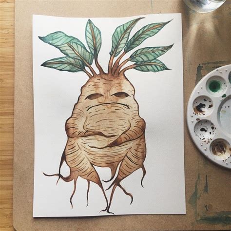 Harry Potter Mandrake Watercolor | Harry potter watercolor, Harry ...