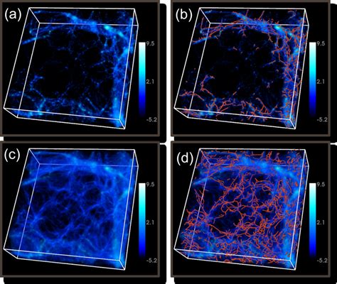 Exploring Filaments In High Density Cluster Like Environments And
