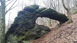 Parcul Natural Defileul Muresului Superior | guide-romania.ro