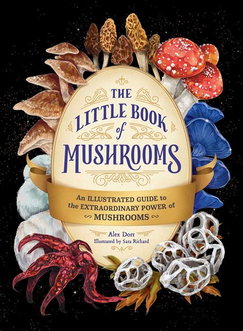 A New Author Writes A Mushroom Recipe Book For Vegan Families - RYZE Superfoods
