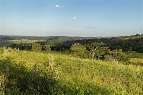 Premium Photo Pasture Field For Cattle Raising