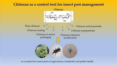 Insects Free Full Text Chitosan As A Control Tool For Insect Pest